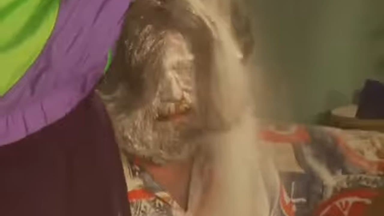 A Vodka Movie