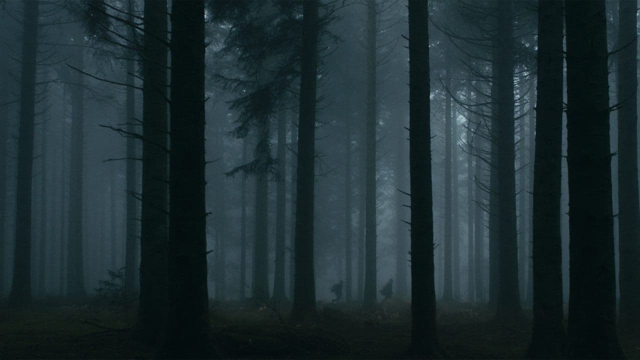Dark Heart of the Forest