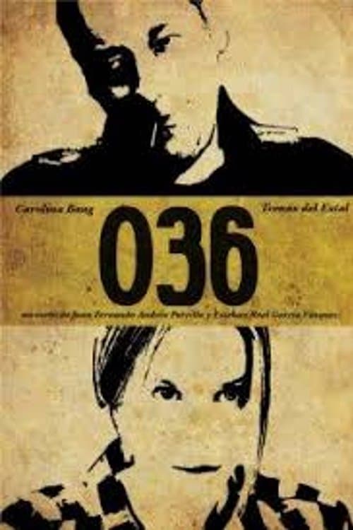 036 poster