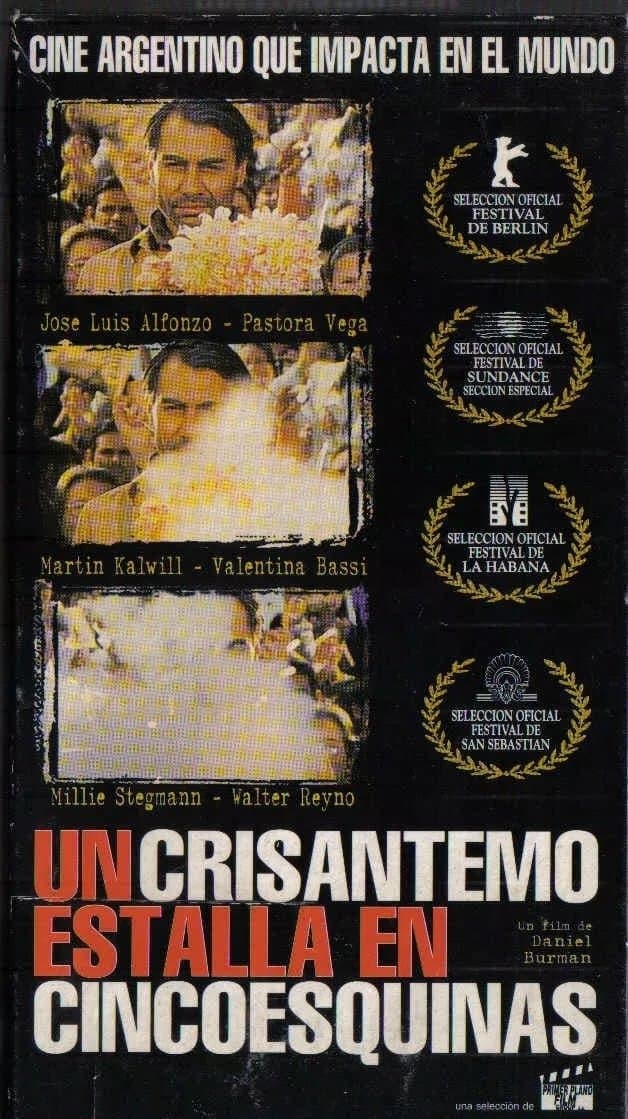 A Crysanthemum Bursts in Cincoesquinas poster