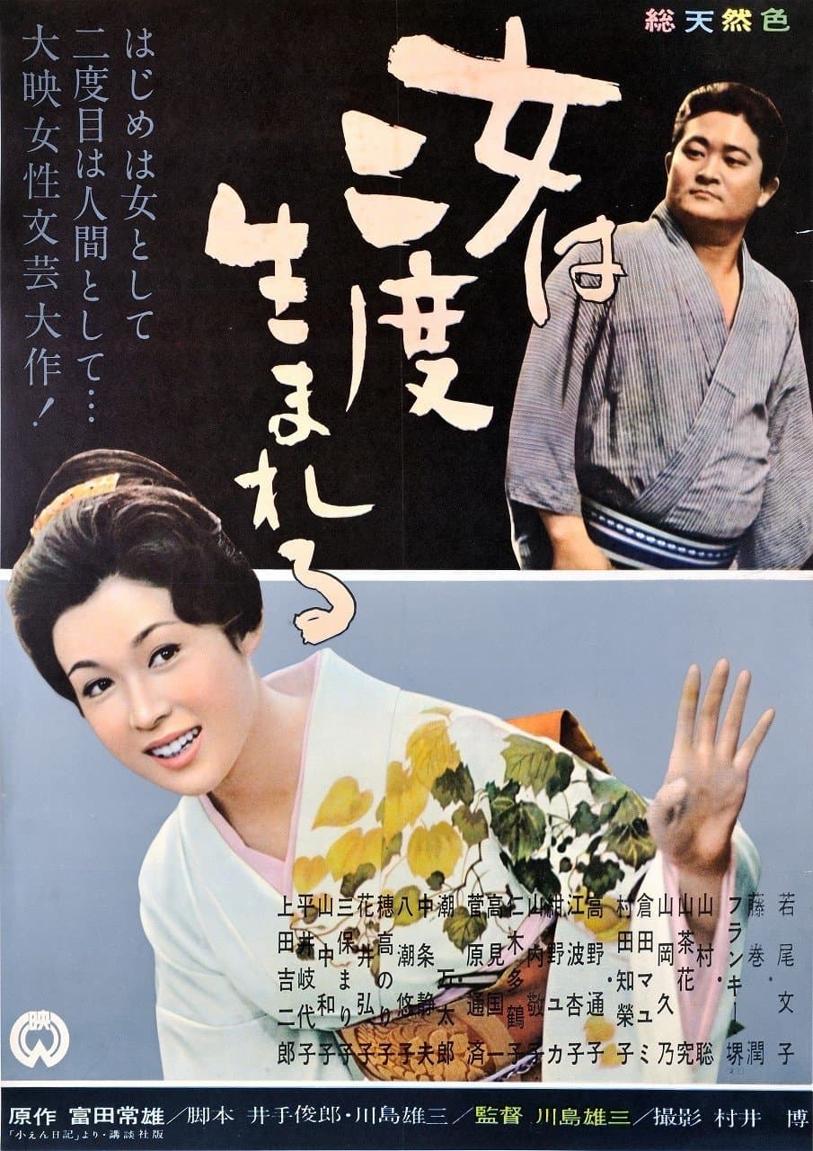 A Geisha's Diary poster