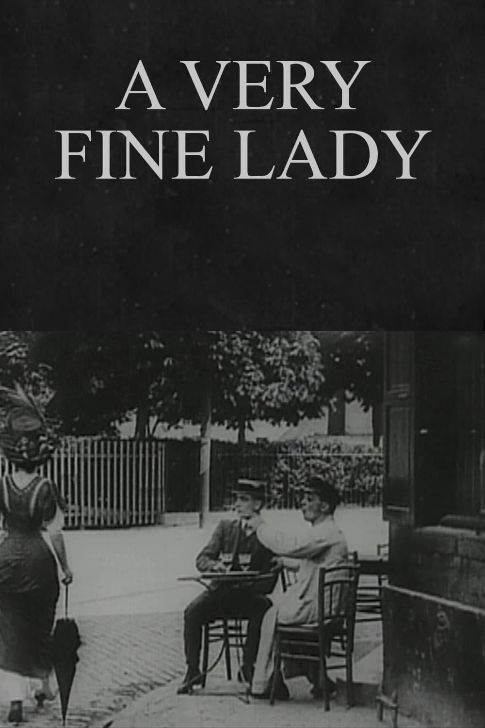 A Very Fine Lady poster