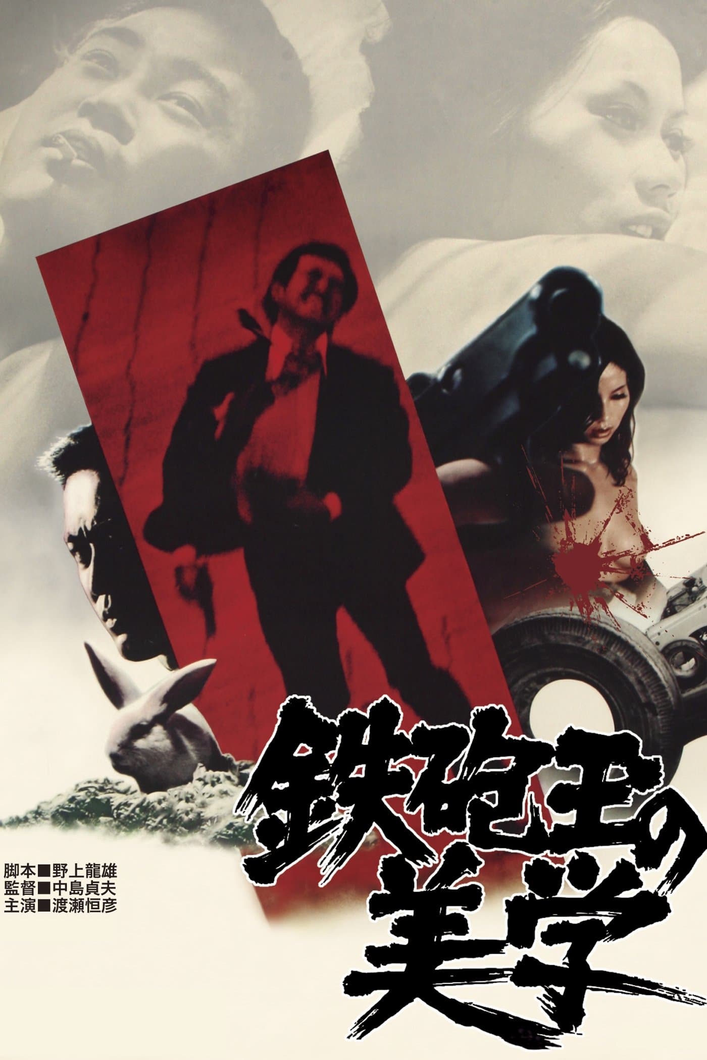Aesthetics of a Bullet poster