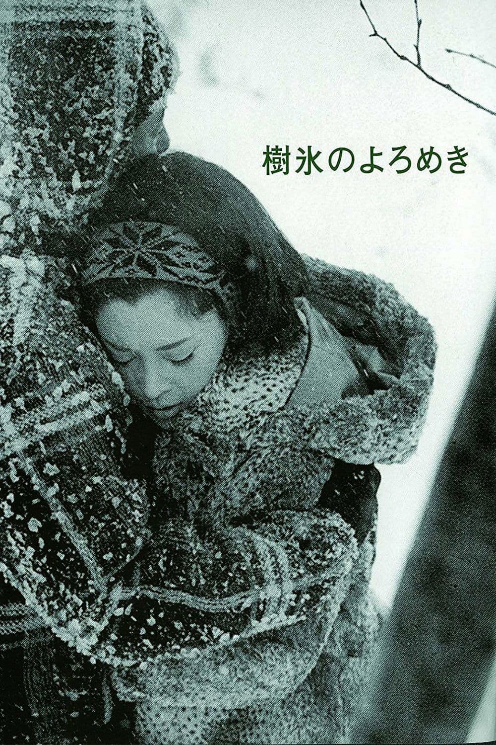 Affair in the Snow poster