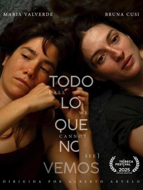All We Cannot See poster