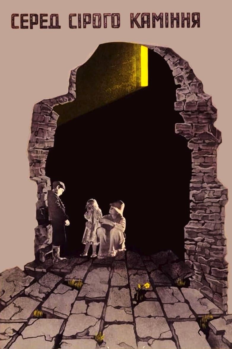 Among Grey Stones poster