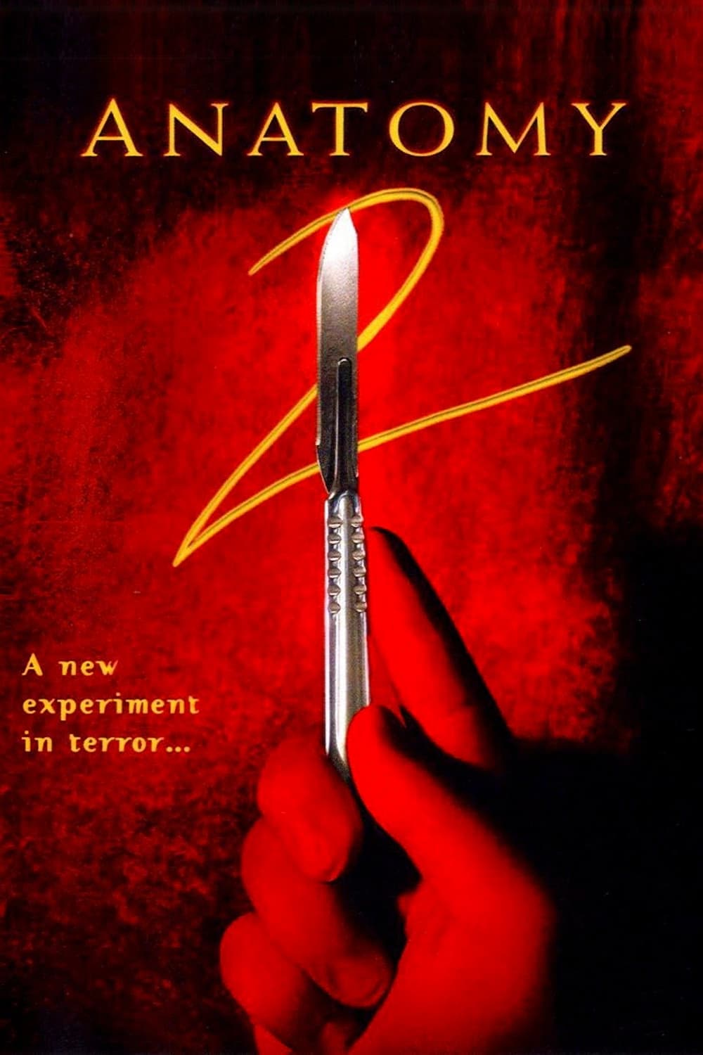 Anatomy 2 poster