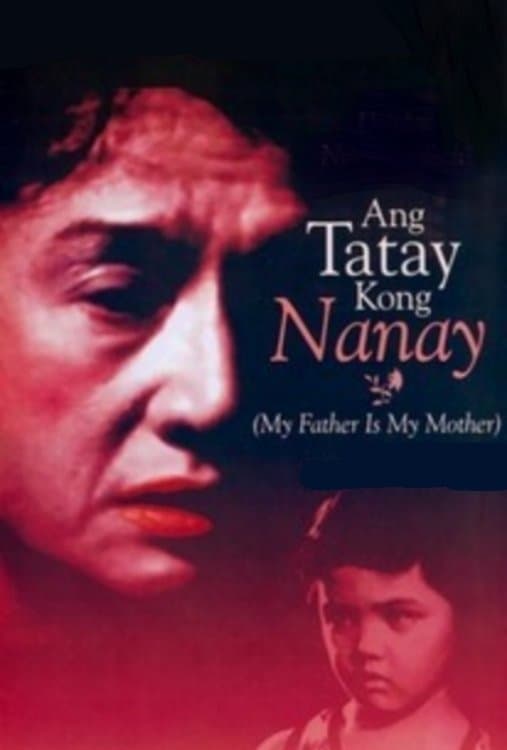 Ang Tatay Kong Nanay poster