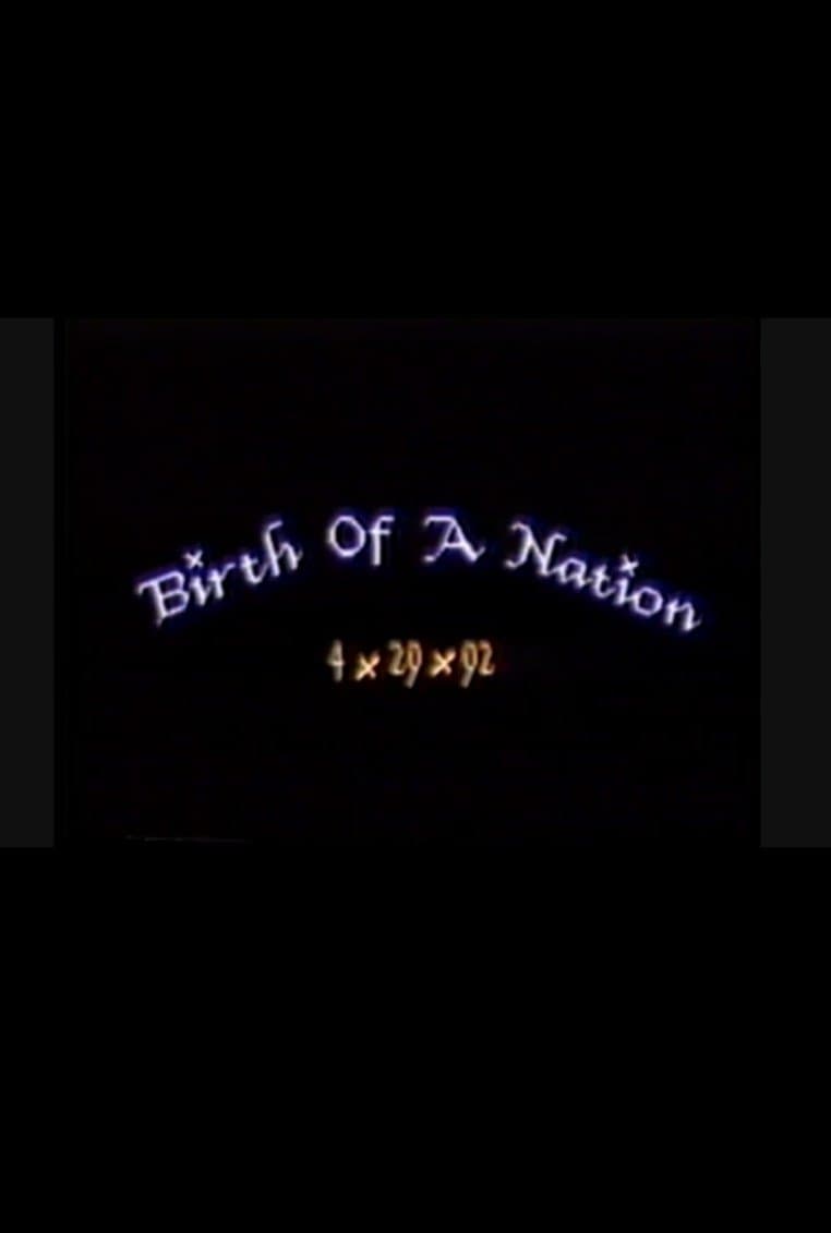 Birth of a Nation: 4.29.92 poster