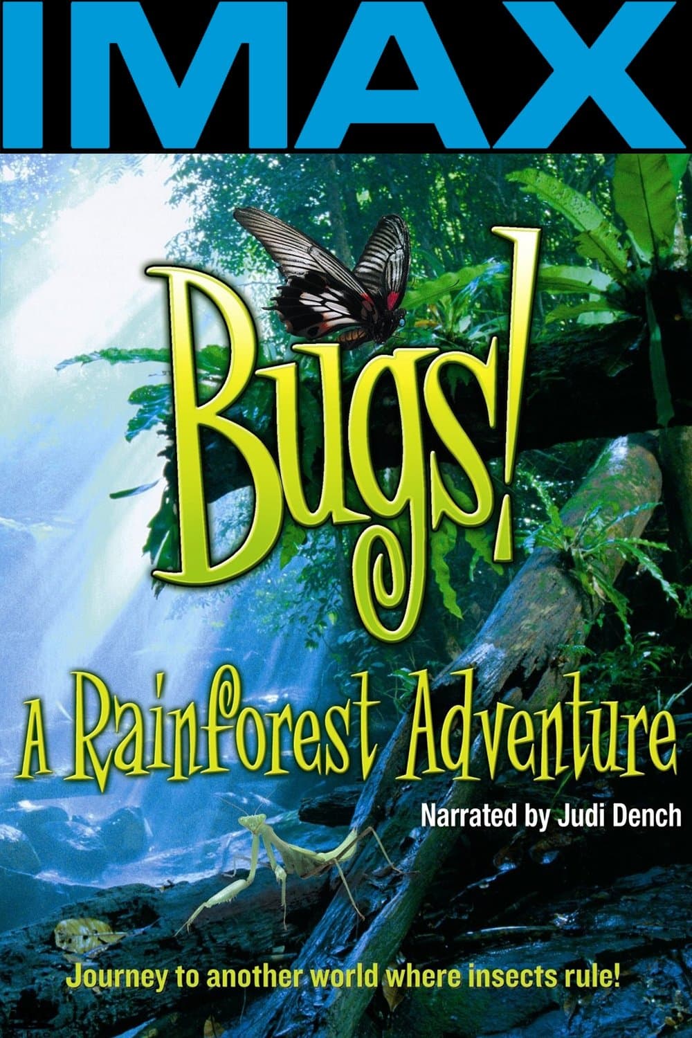 Bugs poster