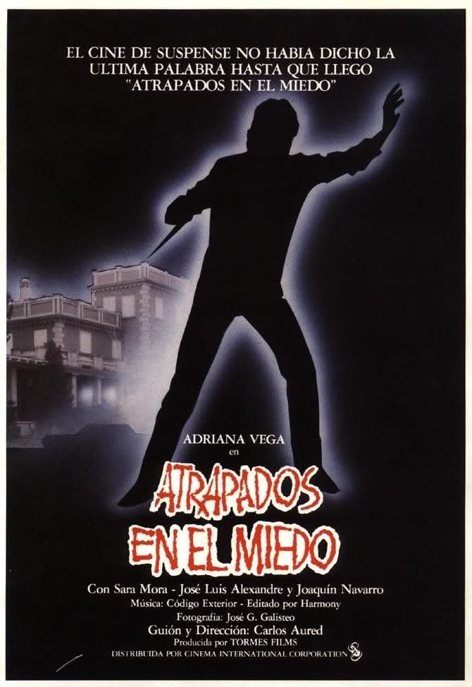 Caught in Fear poster