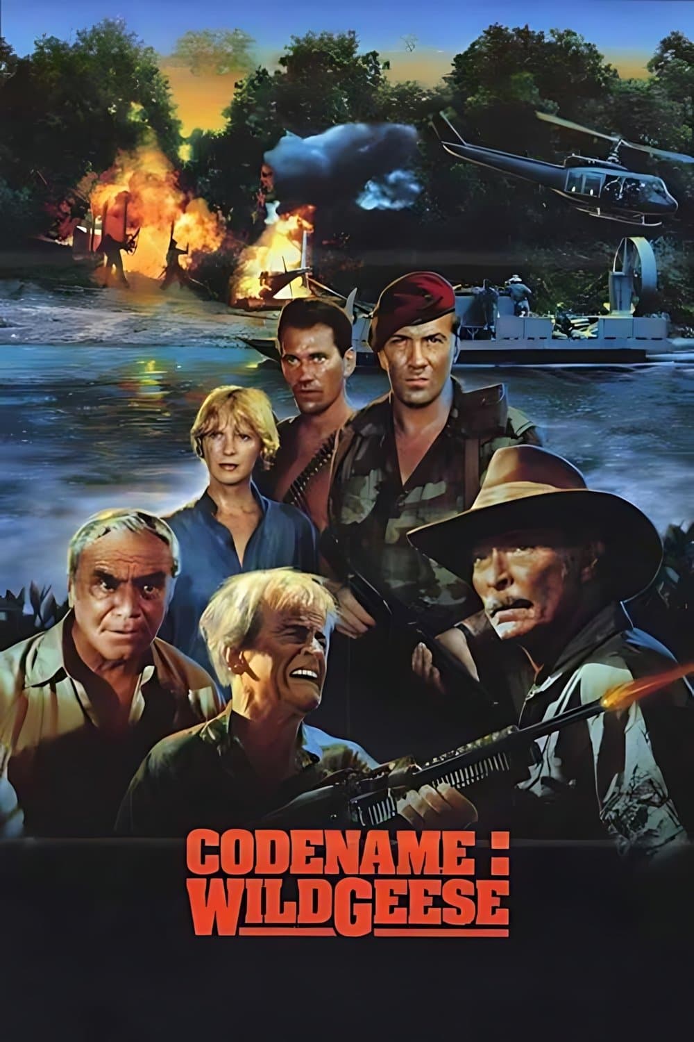 Code Name: Wild Geese poster