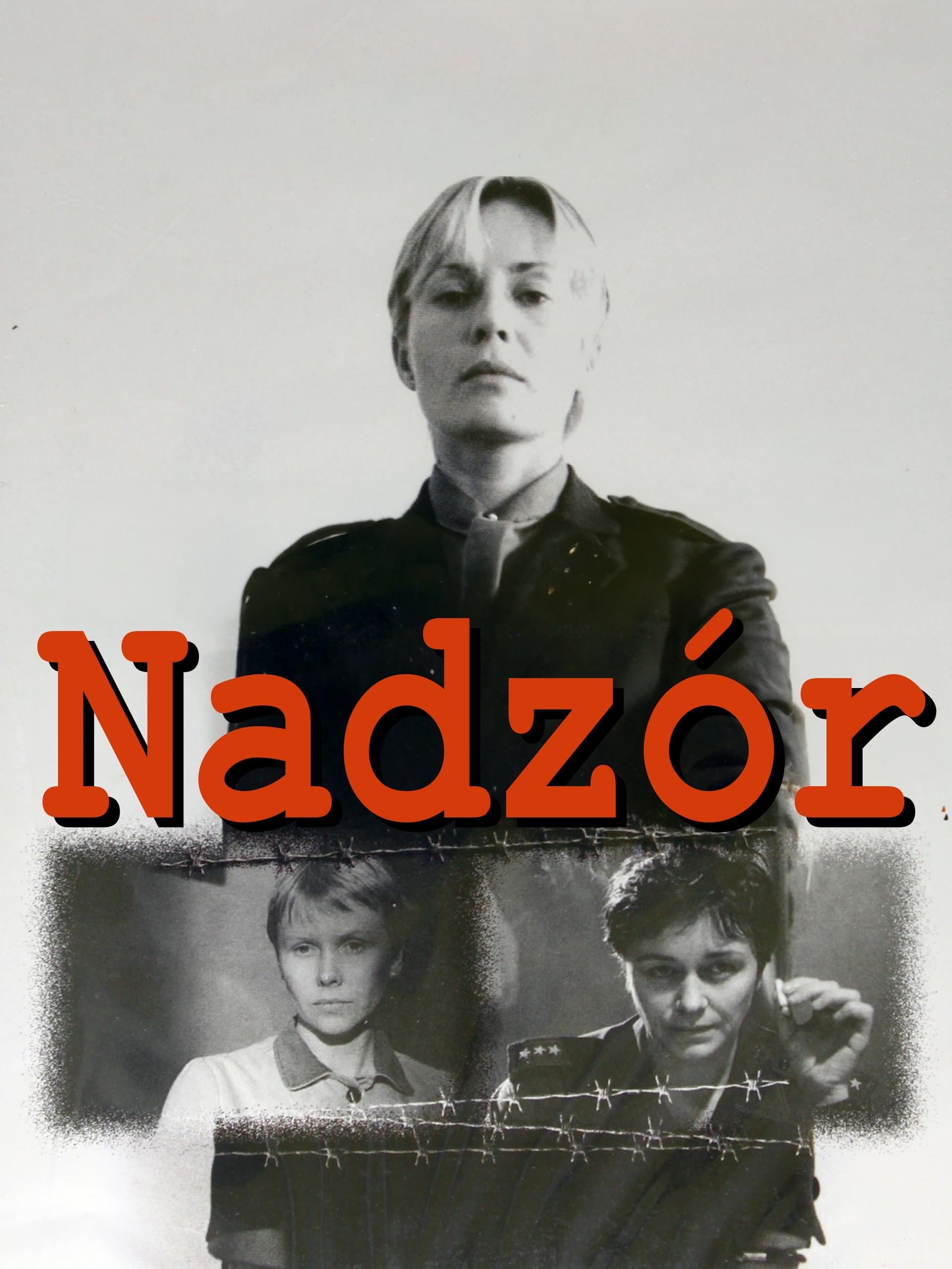 Custody poster