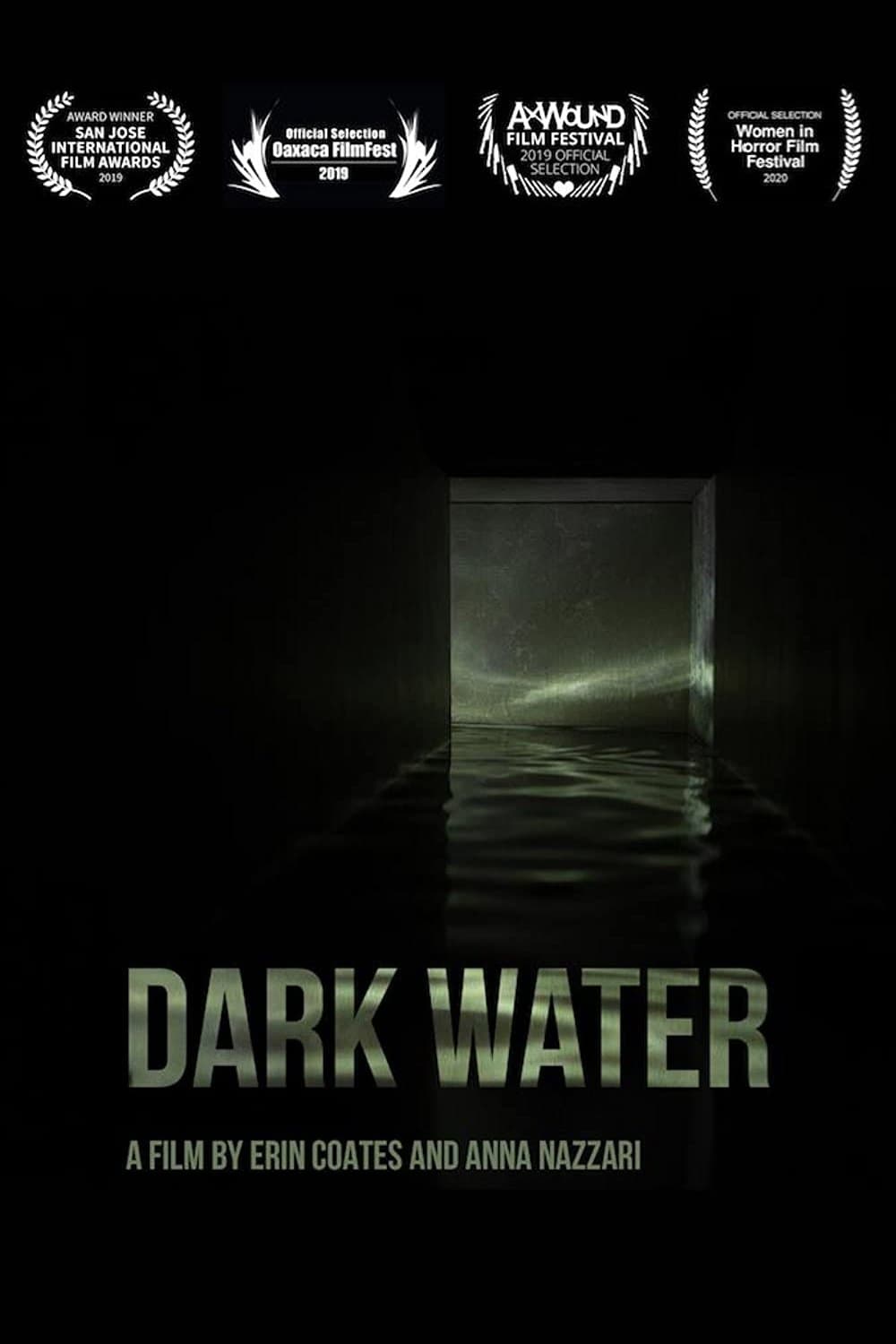 Dark Water poster