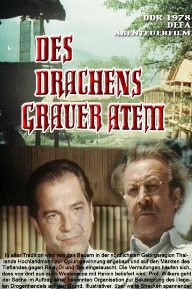 Des Drachens grauer Atem poster