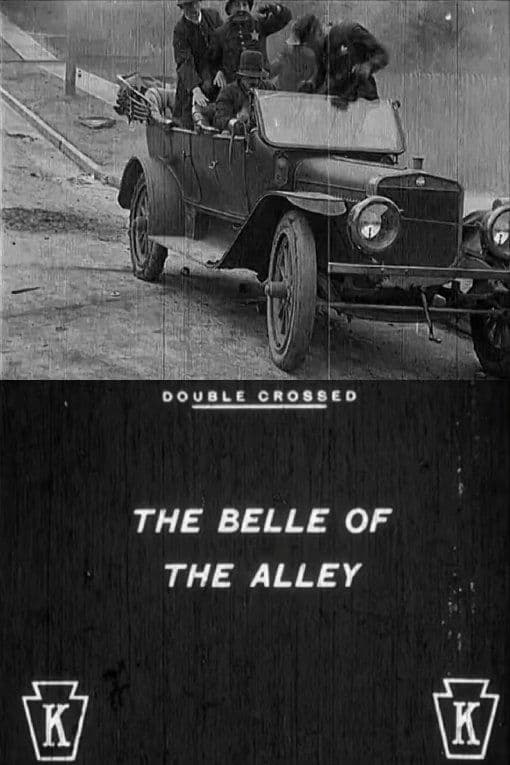 Double Crossed poster