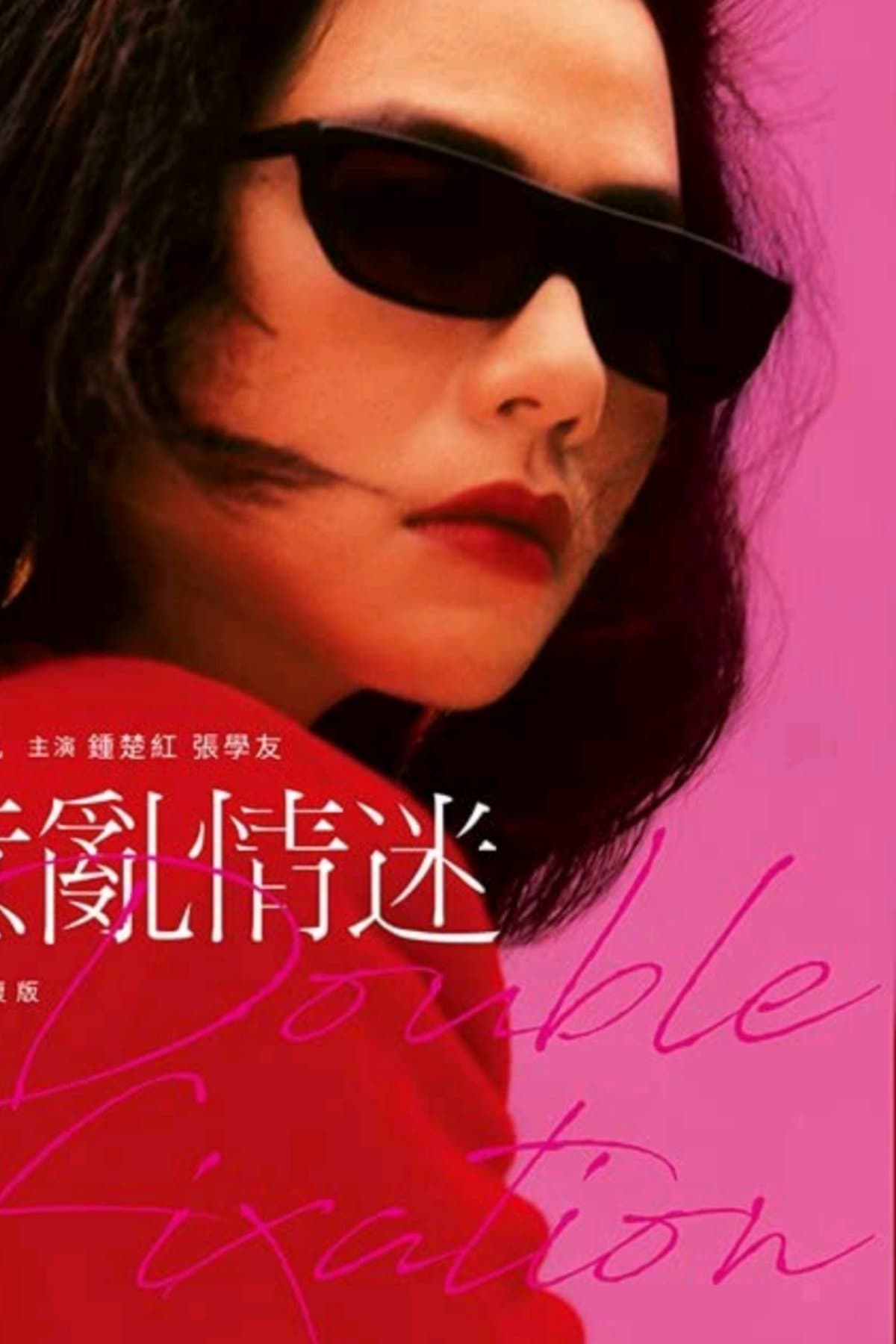 Double Fixation poster