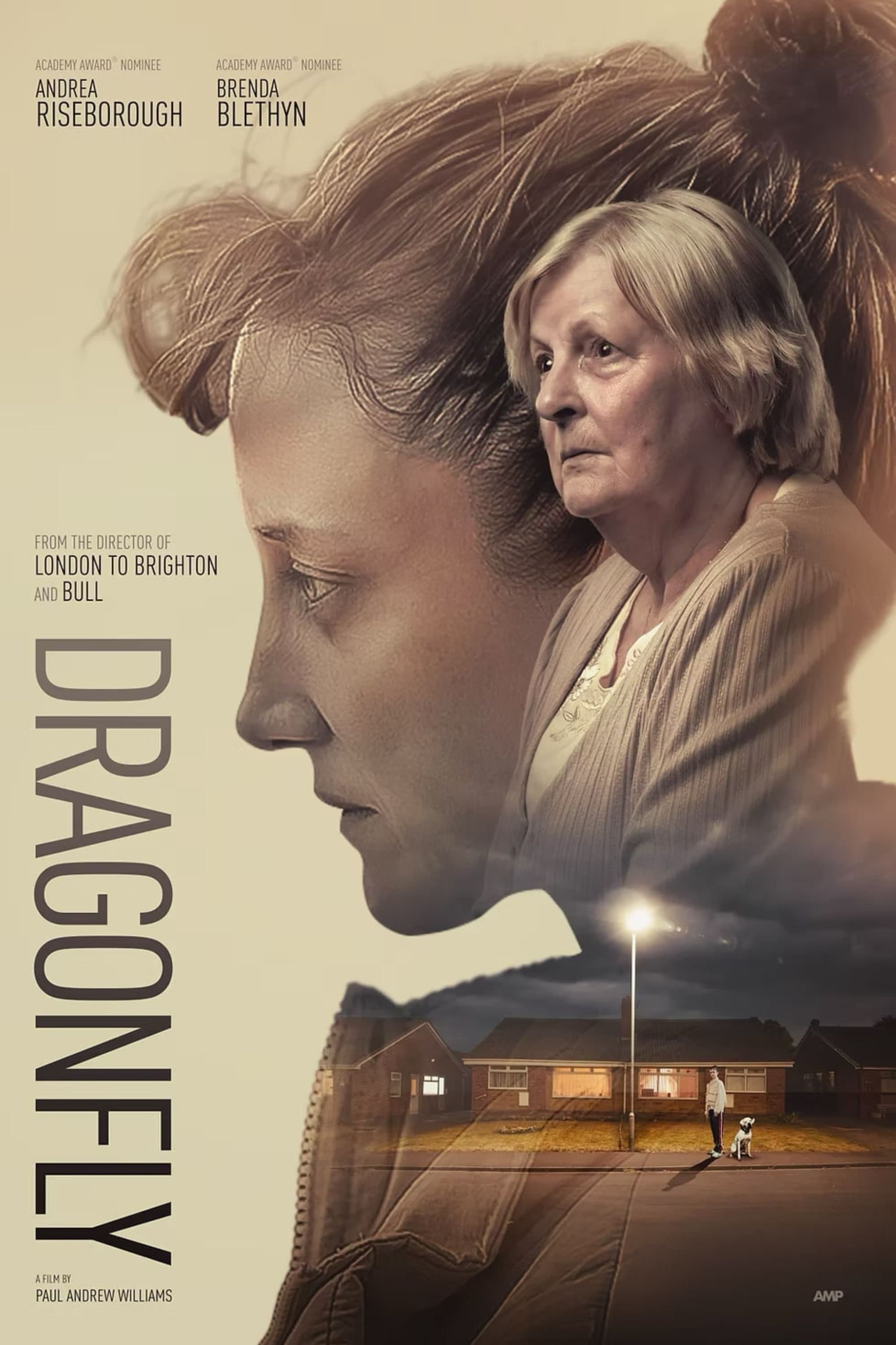 Dragonfly poster