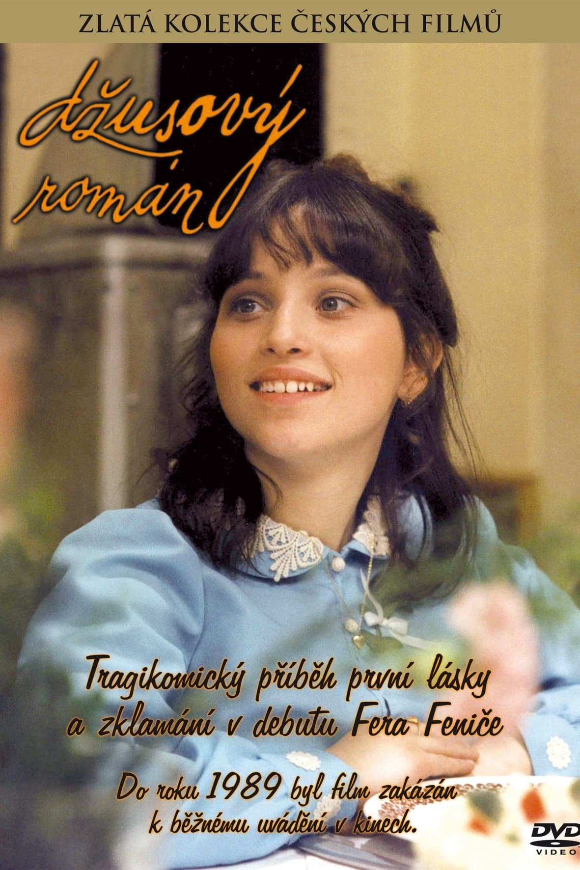 Džusový román poster