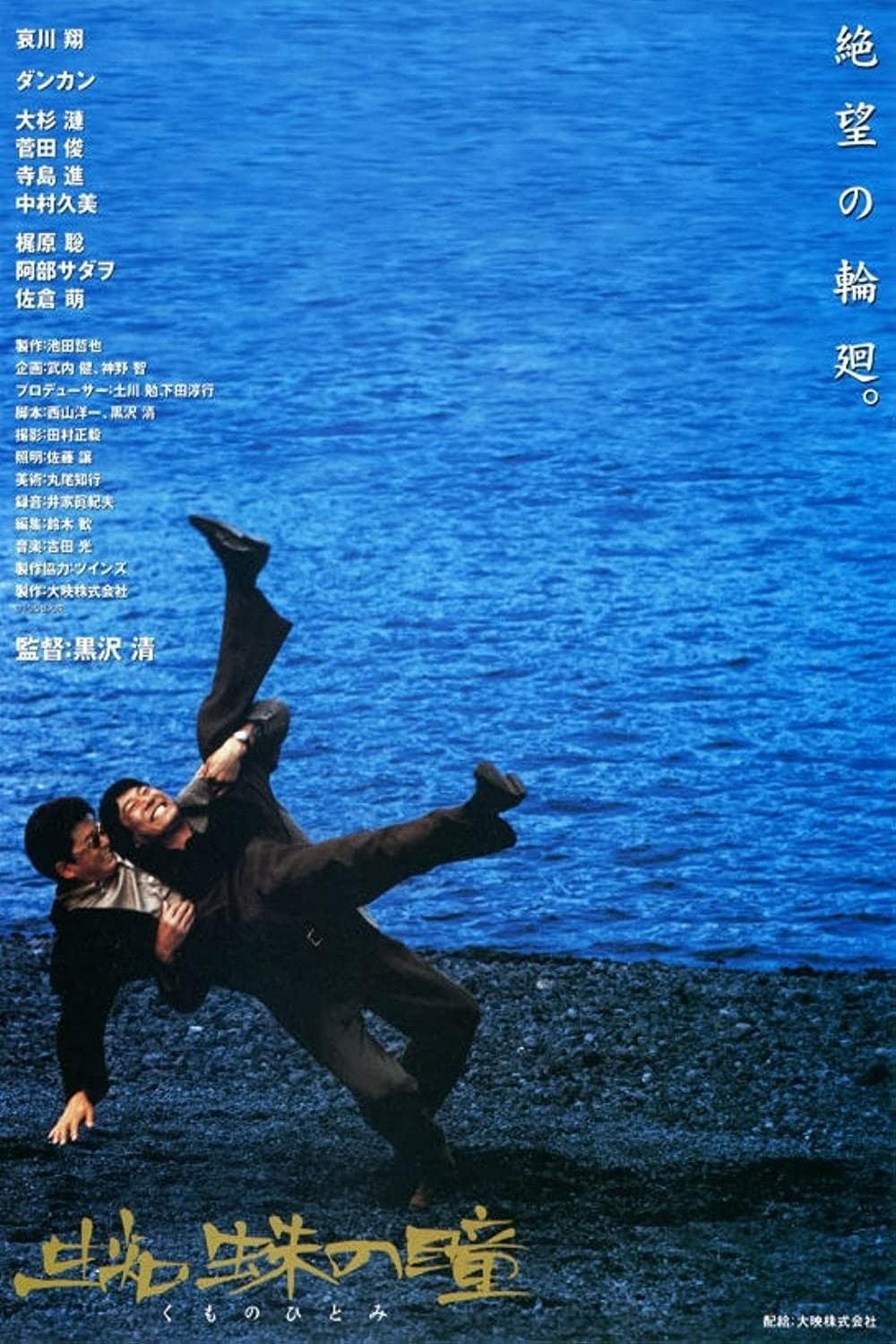 Eyes of the Spider poster