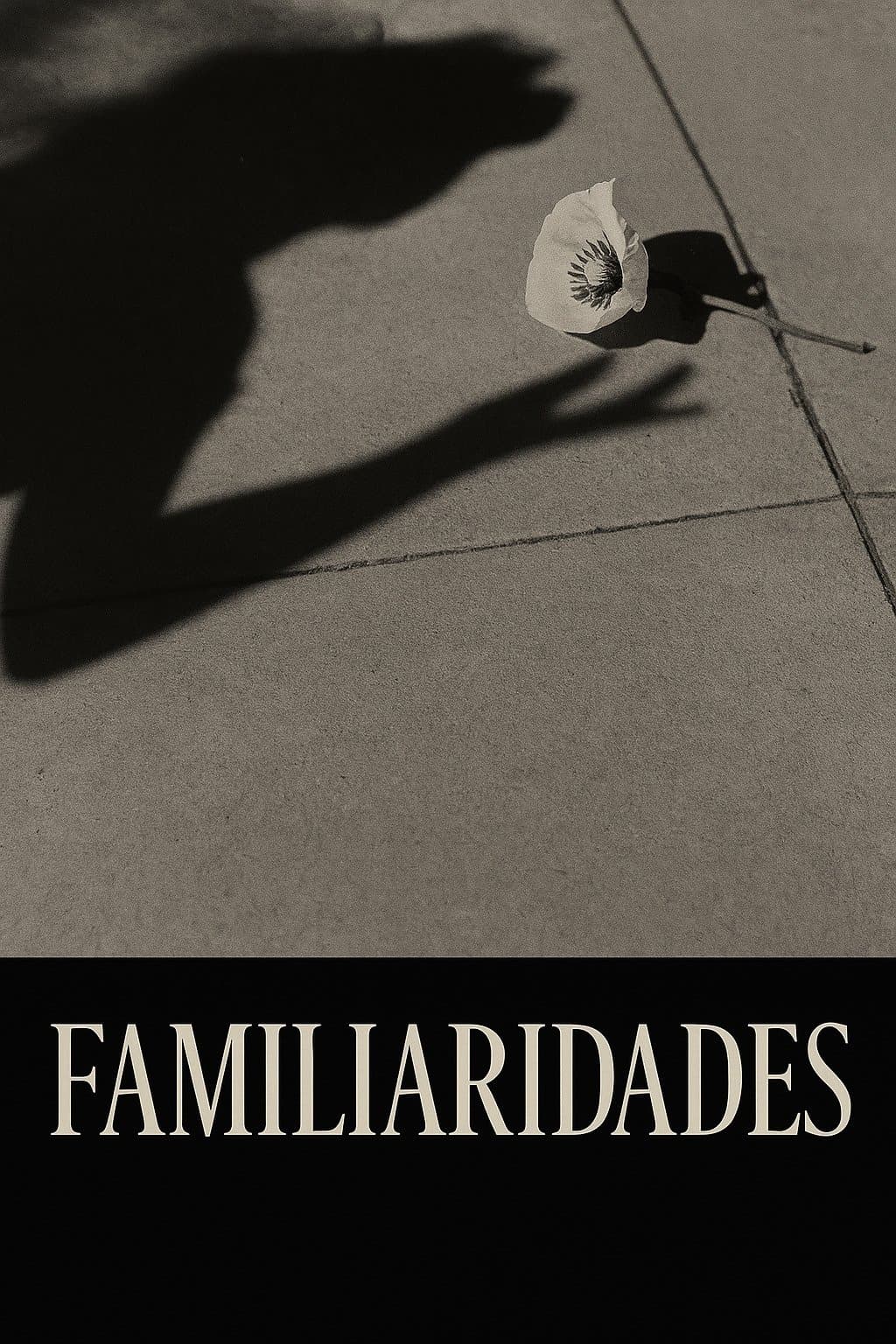 Familiarities poster