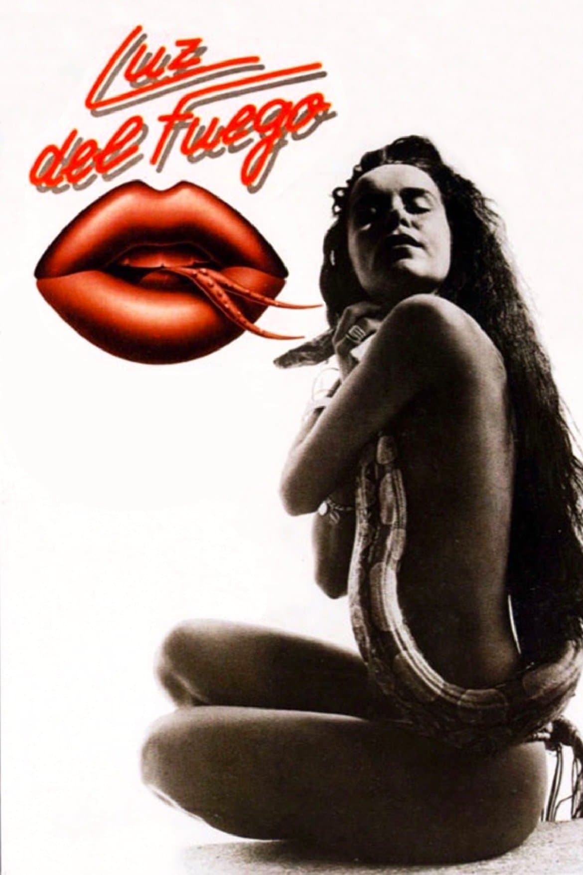 Fire Light poster