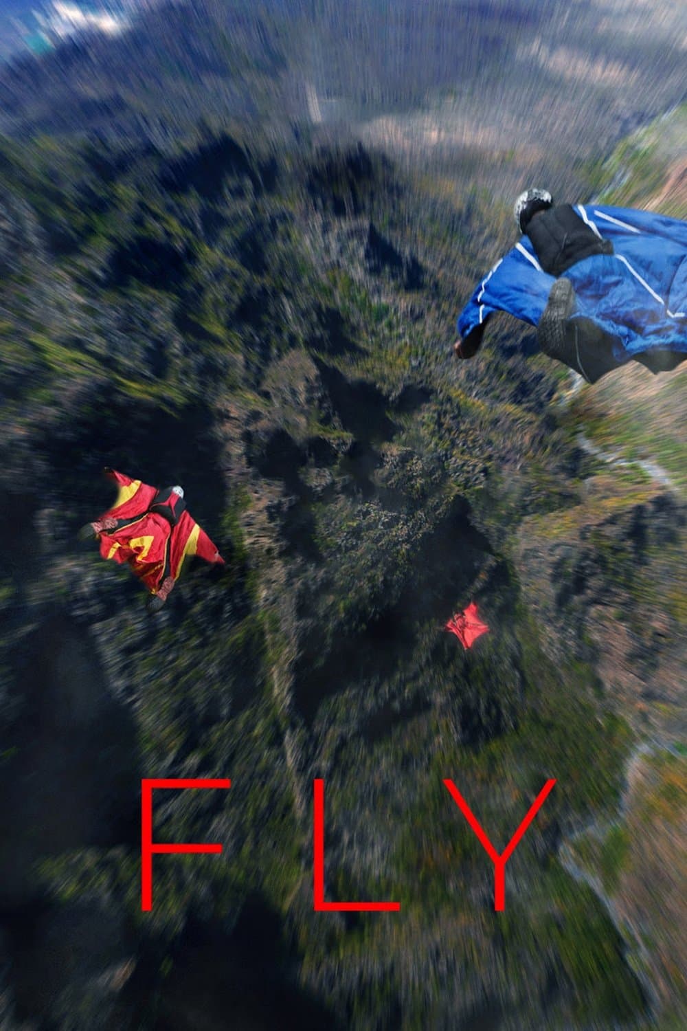 Fly poster