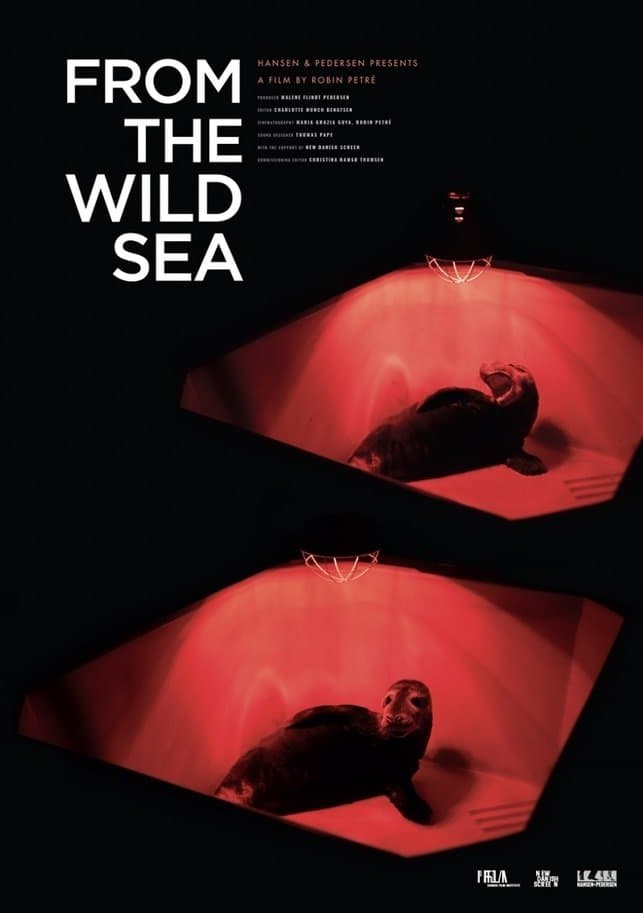 From the Wild Sea poster