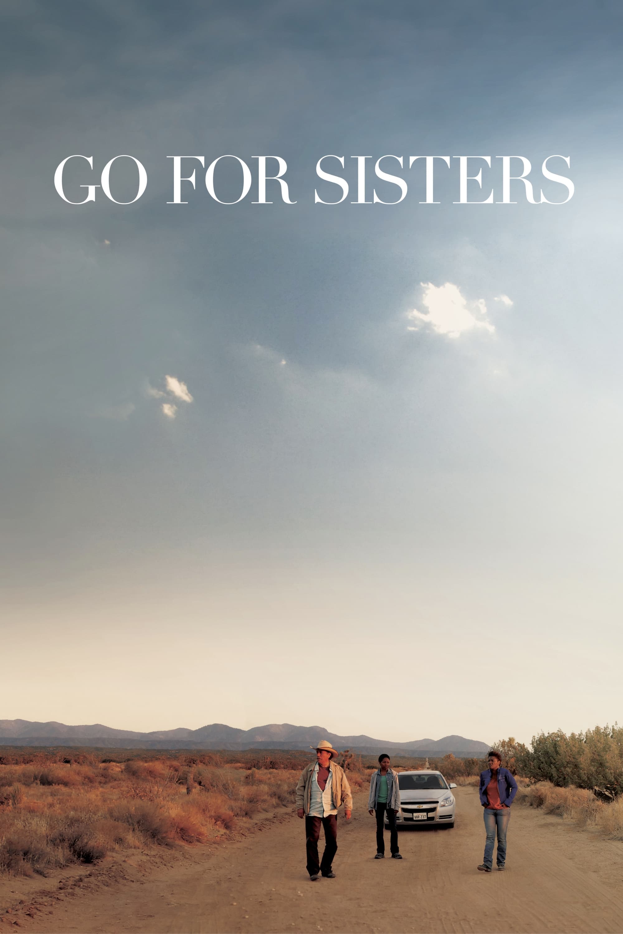 Go for Sisters poster