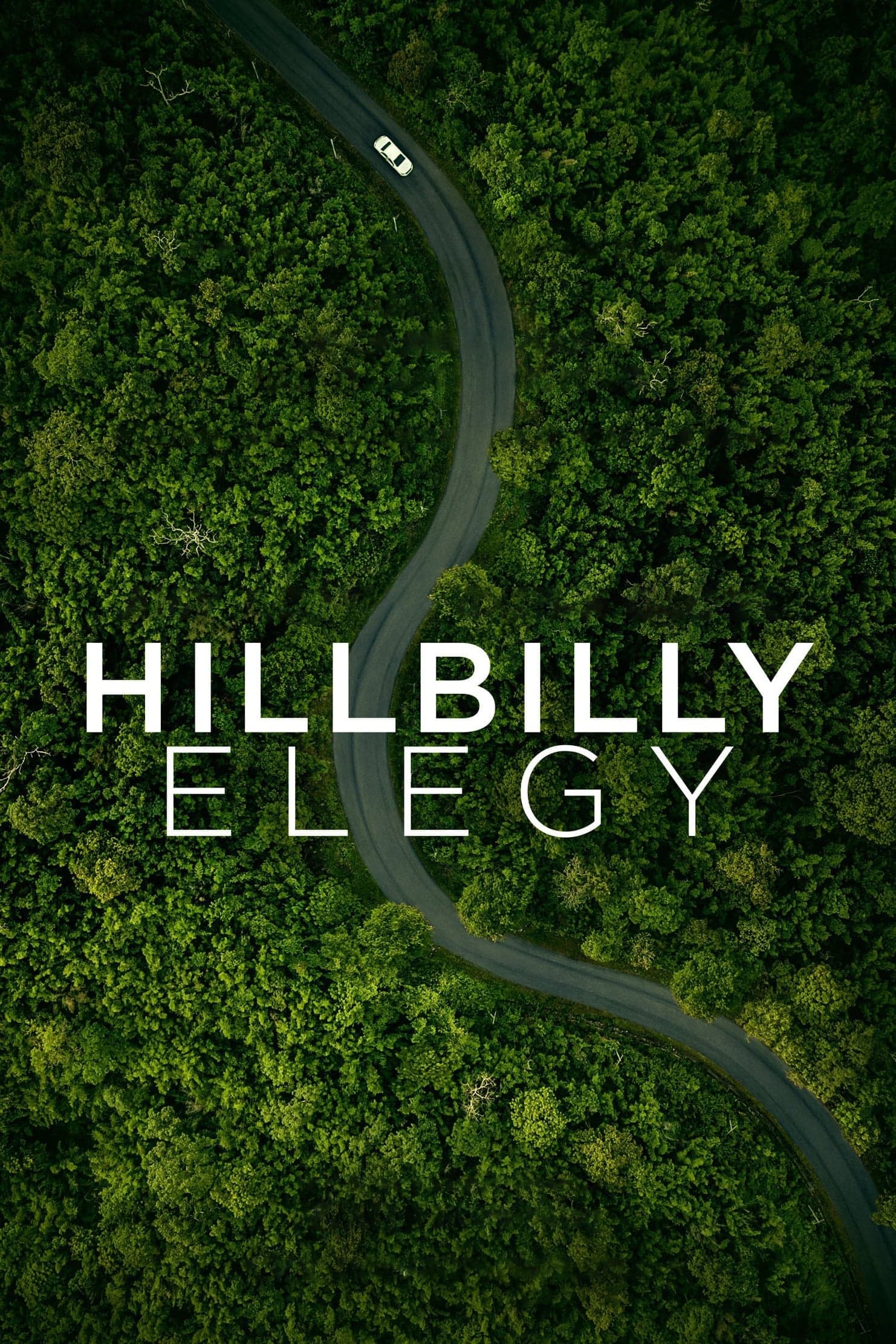 Hillbilly Elegy poster