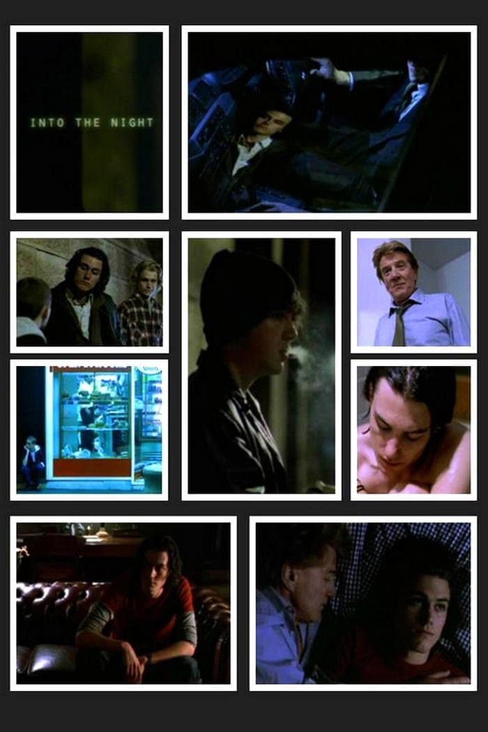 Into the Night poster