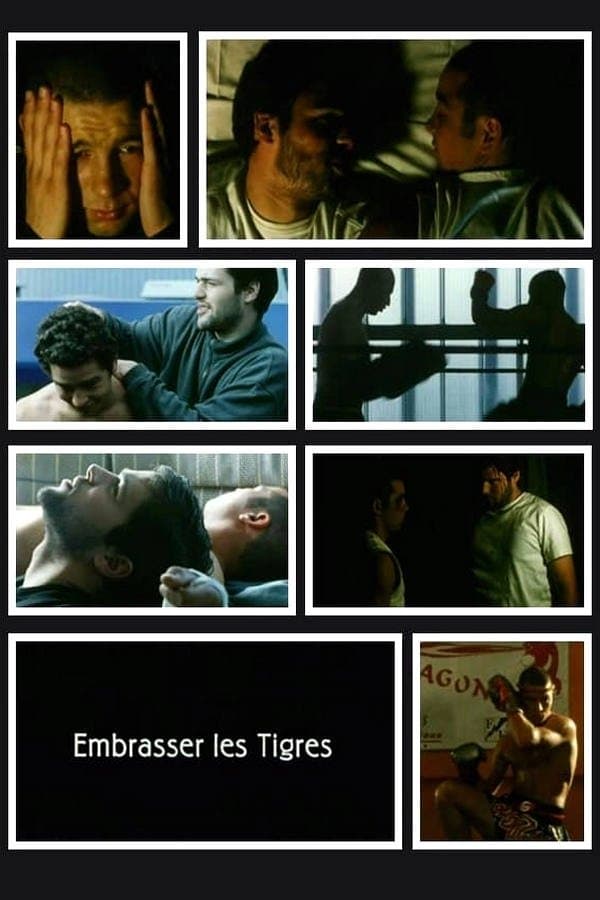 Kissing Tigers poster