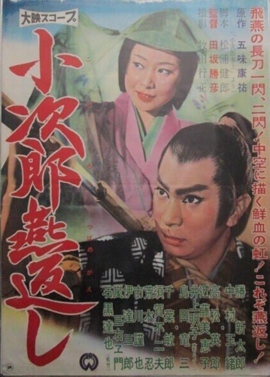 Kojiro's Turning Swallow Cut poster