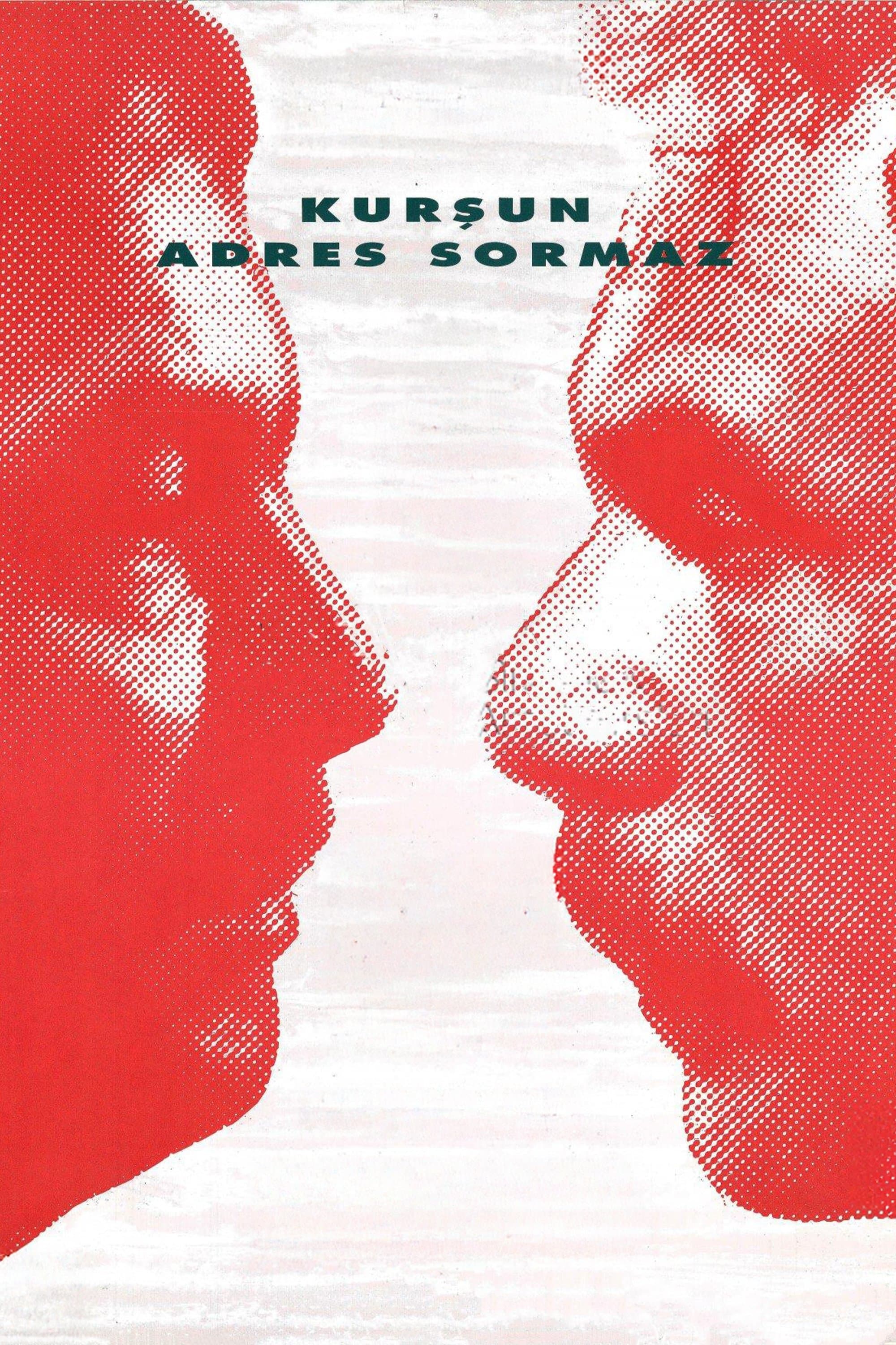 Kurşun Adres Sormaz poster