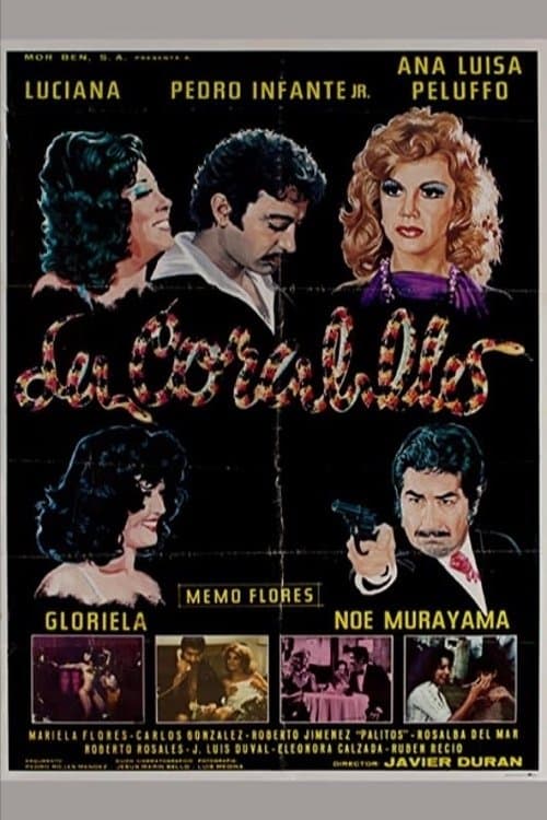La coralillo poster