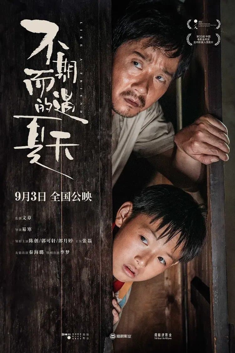Like A Friend poster