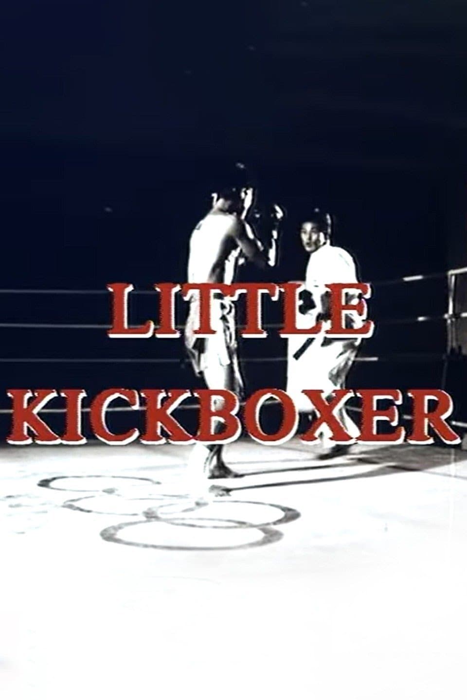 Little Kickboxer poster