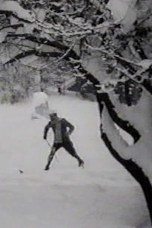 Max Skiing poster