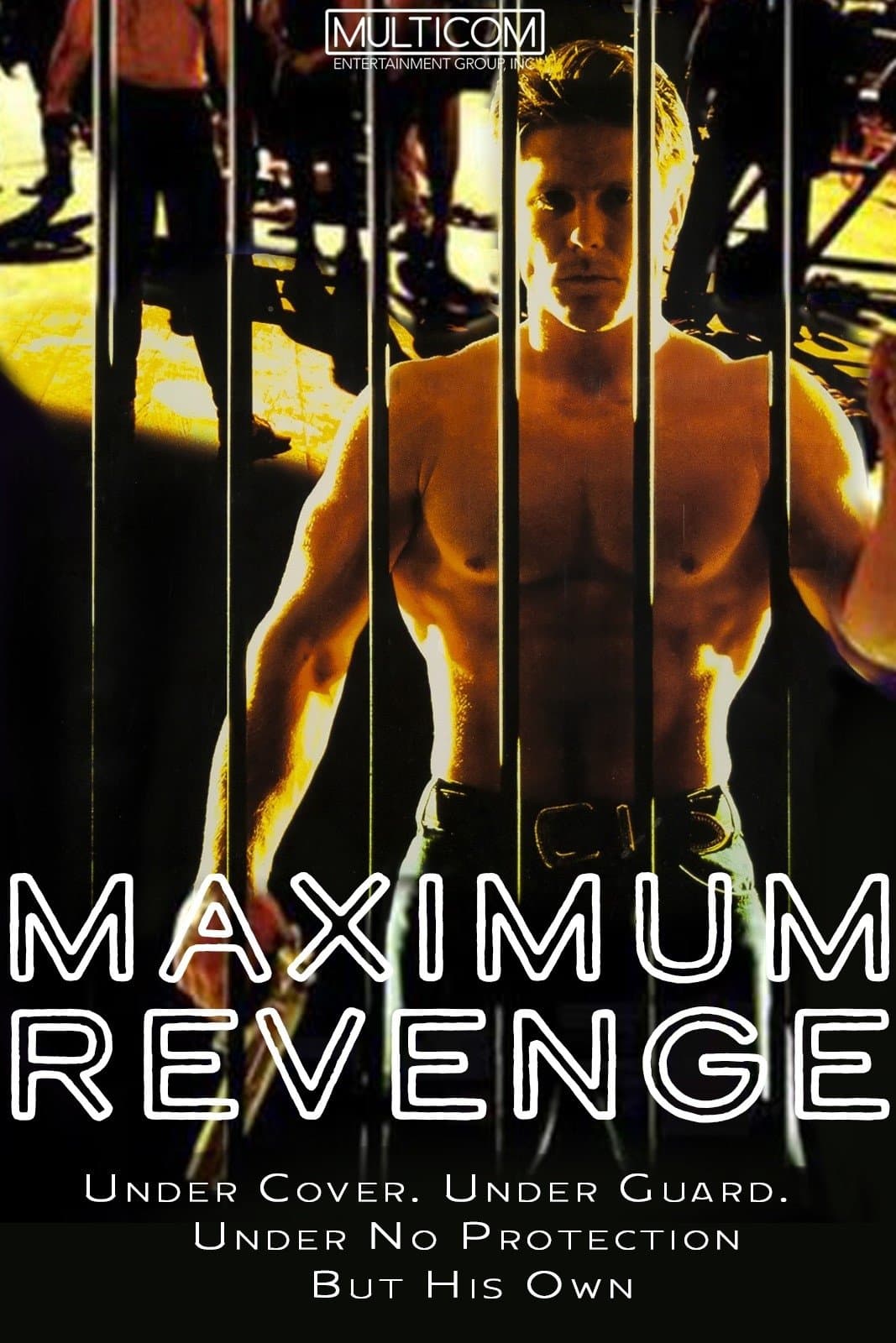 Maximum Security poster