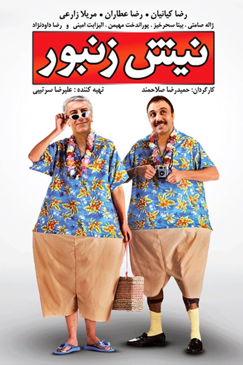 Nish O Zanboor poster