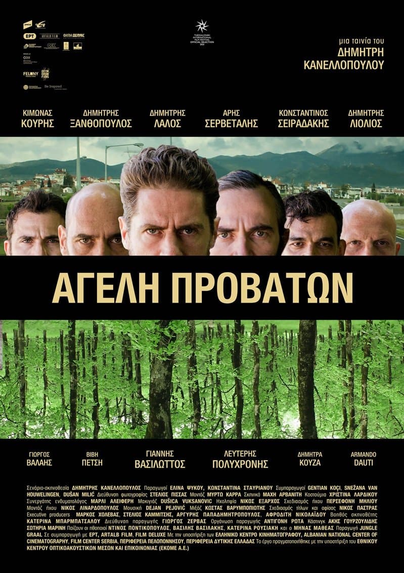 Pack of Sheep poster