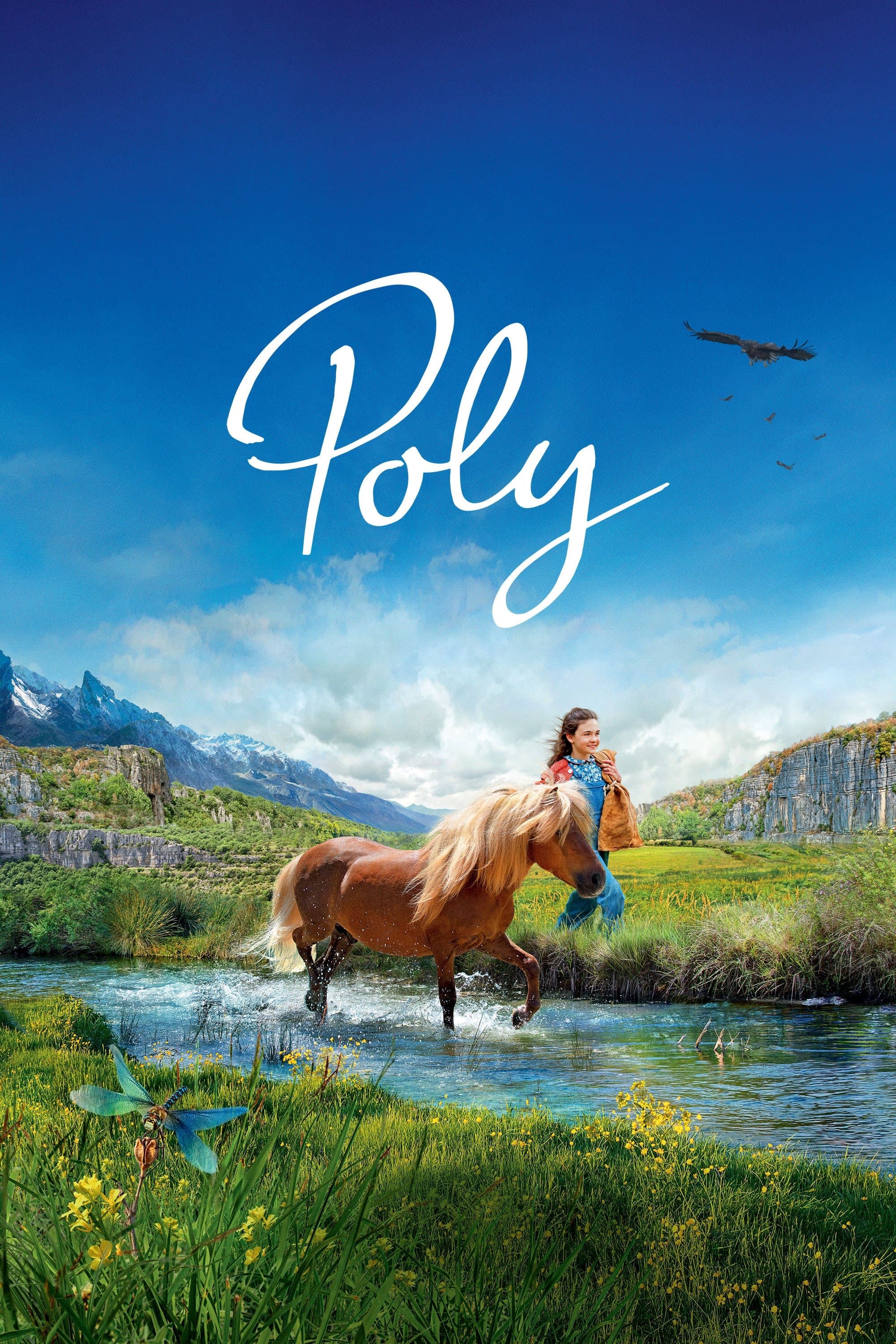 Poly poster