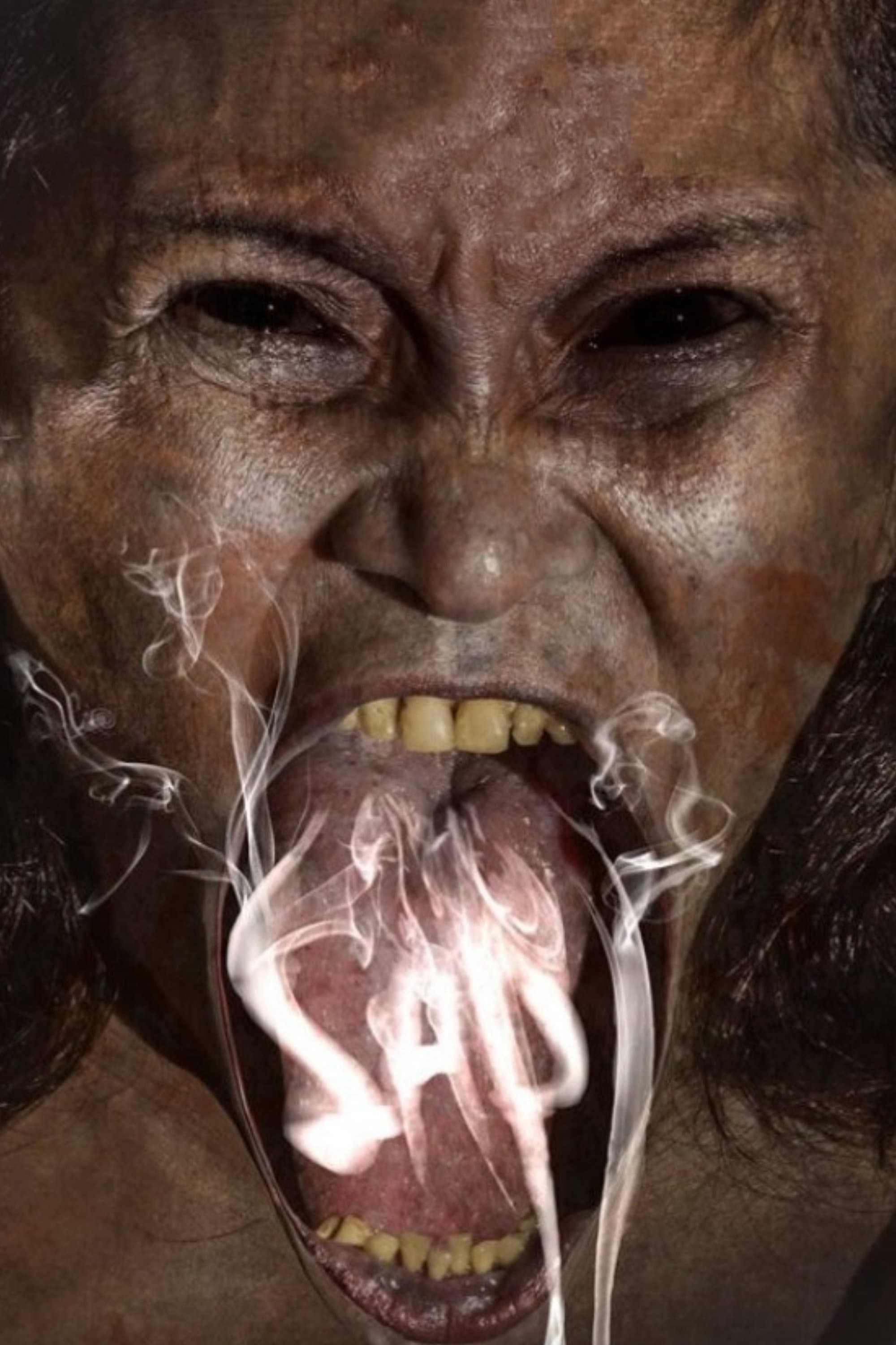 Possession poster