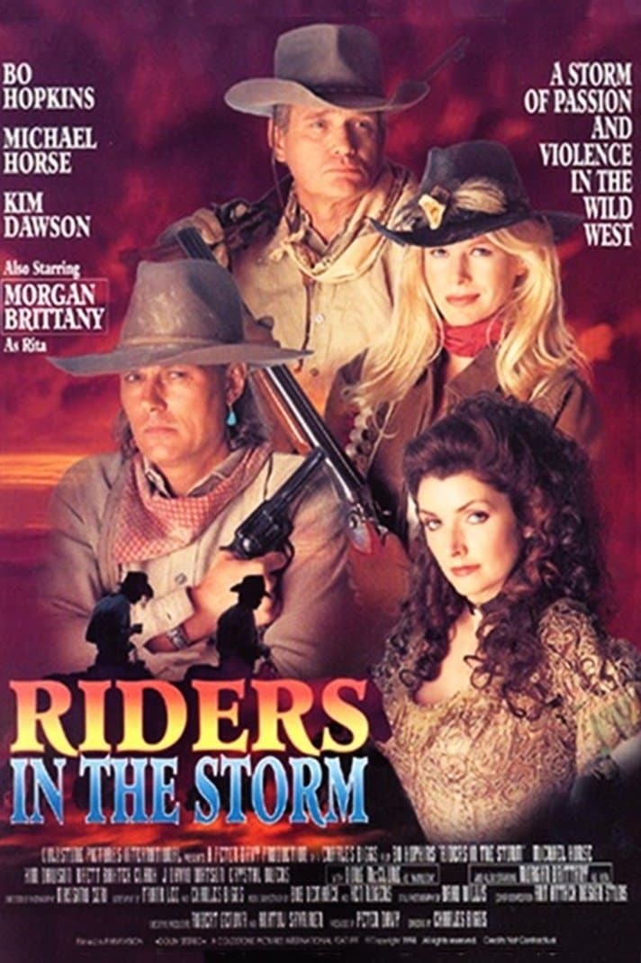 Riders in the Storm poster