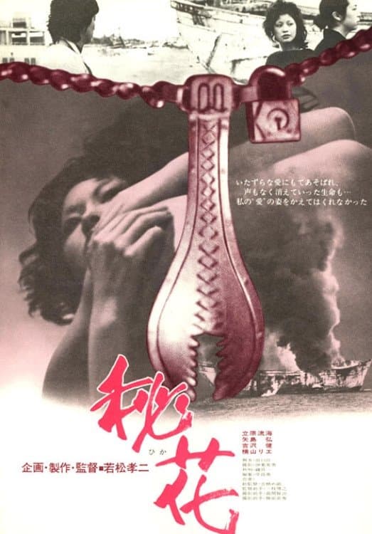 Secret Flower poster