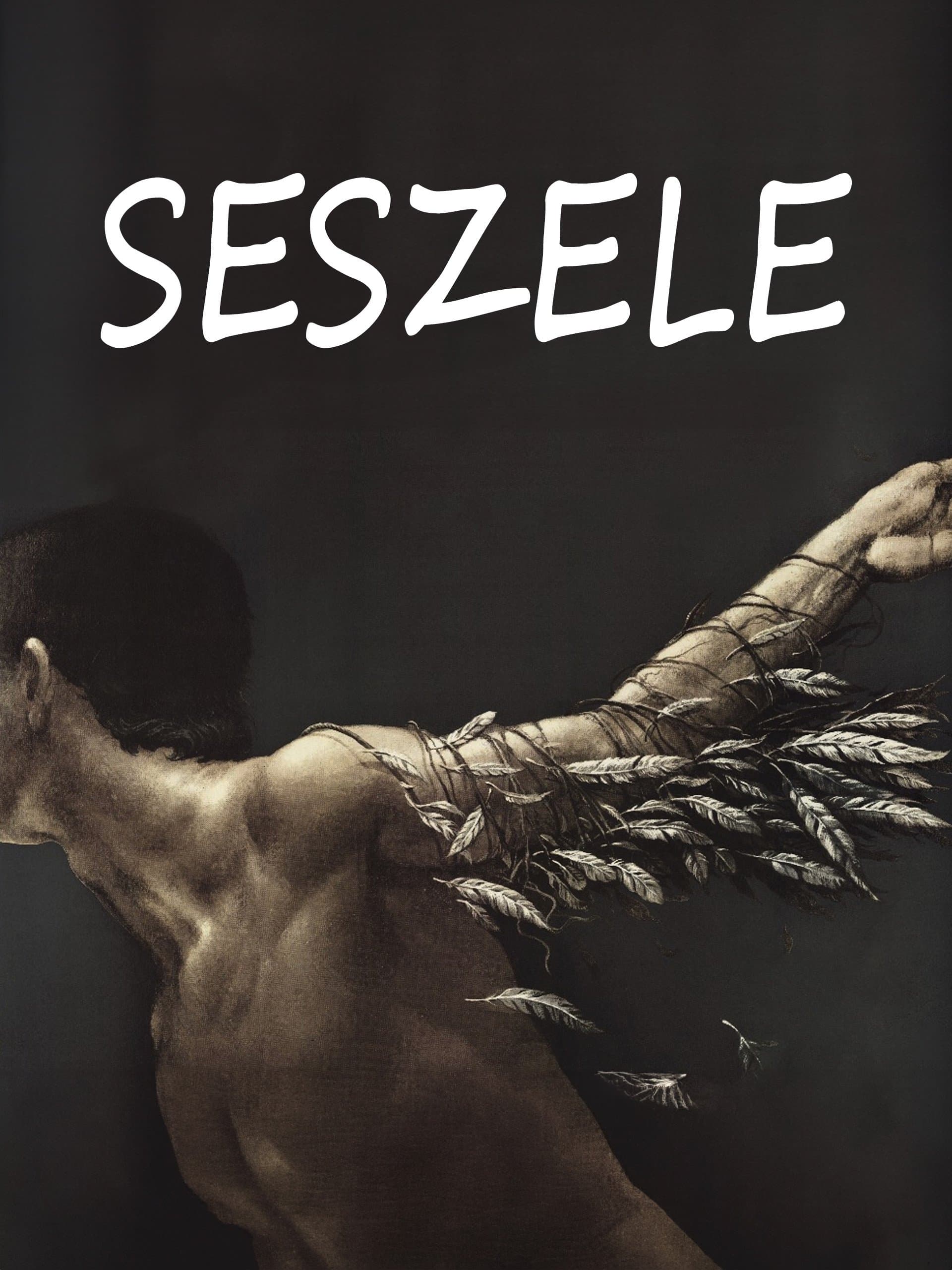 Seychelles poster