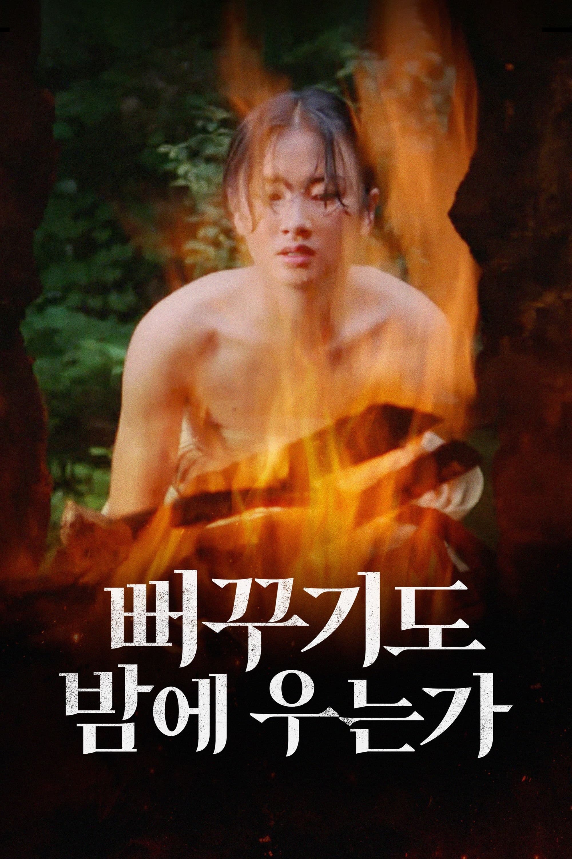 Shall Cuckoo Sing at Night poster