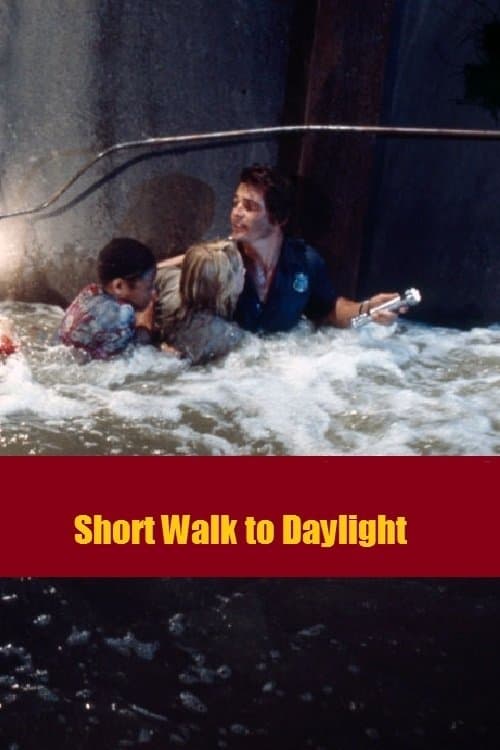 Short Walk to Daylight poster