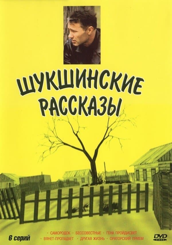 Shukshin's Stories poster