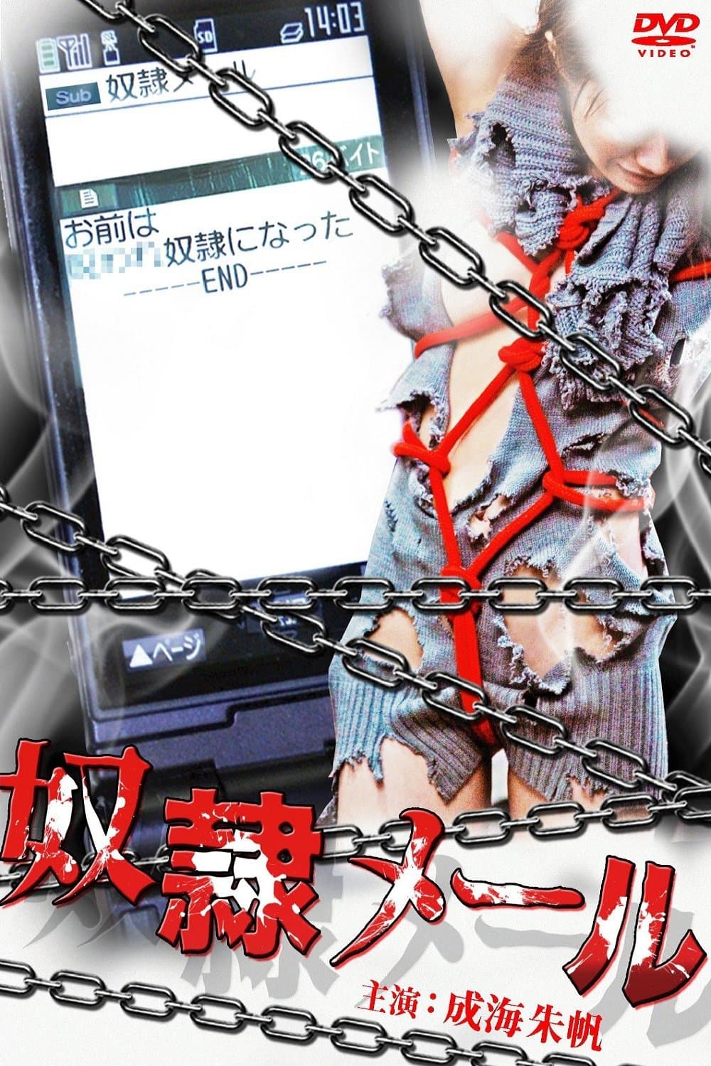 Slave Mail poster